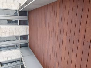 20191104_162634 (Medium)